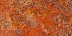 Lichens on Rock 8 – Digital Inkjet Photo Print – 9″ x 18″ with border