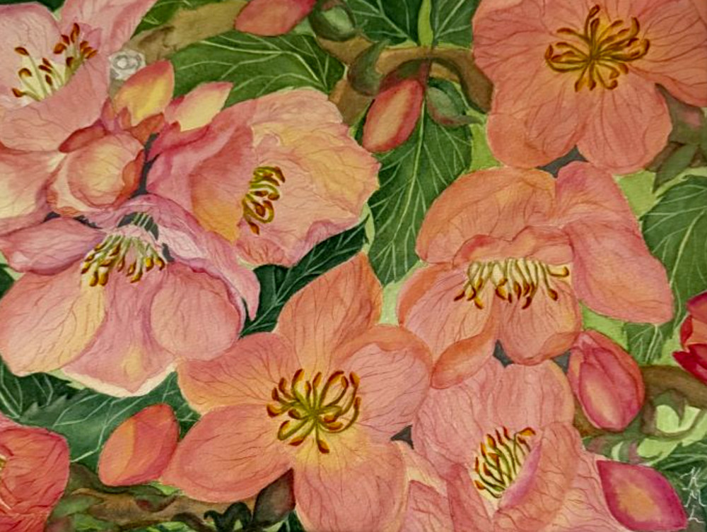 PAINTING WATERCOLOR 11X14 MAT 16X20 FLOWER PEACH BLOSSOM PINK CORAL ORIGINAL ART