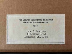 JULIE EASTMAN Fall View of Turtle Pond at Habitat ~ original watercolor 1995