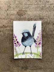 ACEO By Kenna Blue Fairy Wren Watercolour Painting 2.5” X 3.5” Signed ATC
