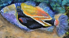 SALE HUMMER FISH original oil painting ocean/sea life/underwater/coral reef/art