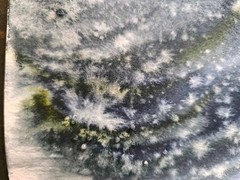 BIRDS SEAGULL WAVES SKY Original Modern Painting Landscape Arts Seascape Gift A3
