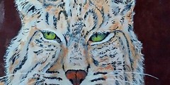 The BOBCAT.12×16 Inch Acrilic Painting On Stretched Canvas By PEACE PIPE STUDIO