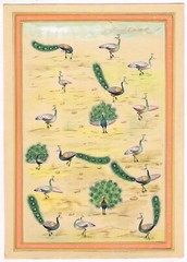 Handmade Birds Miniature Painting Of Beautiful Peacock Birds On Paper 9×13 Inch