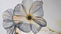 Abstract Floral Watercolor Painting White Background Romantic Botanical A4 Art