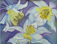PAINTING WATERCOLOR 11X14 DOUBLE MAT 16X20 FLOWER COLUMBINE PUPRLE BLUE ORIGINAL