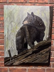 Black Bear ori gal art painting on canvas by Arkansas artist Leah Smith