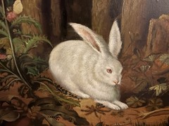 Oil Painting Vintage Signed By E.Bennett 28 In By 2 Feet French Style Bunny