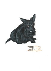 5×7 PRINT OF PAINTING RYTA SCOTTISH TERRIER SCOTTIE FOLK art dog toilet humor 🙂