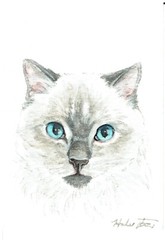 ACEO Original Watercolor Painting 2.5″ x 3.5″ Siamese Kitty Pet Portrait