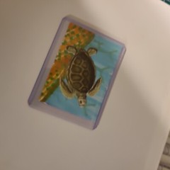 ACEO ORIGINAL ART CARD SEA TURTLE SEASCAPE Underwater Y Farm Caribbean Islands
