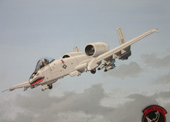 Raymond Waddey Painting A-10 Thunderbolt II Warthog, Signed Hunter Hayes 18″x24″