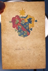 Antique handpainted Heraldic Family Crest VON ANTHONI Coat of Arms painting 1144