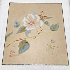 4 origional watercolor on board Japanese Asian pictures manitis dragonfly scenic