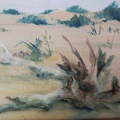Maine Artist Carol Sebold Original Oil On Canvas- Driftwood On Sand Dune- 8″x6″