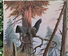 Heinz Roder Auerhahn Forest Landscape Oil on Canvas Signed Large Painting