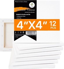 Artisan Quality Mini Stretched Canvas – 12 Pack, Perfect for All Skill Levels