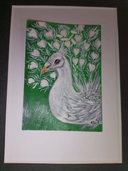 ACEO original white rare peacock bird painting 2.5×3.5 by Jayne