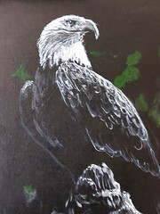 LOVELESS – „BALD EAGLE“ original acrylic Americana on canvas 11 X 14 COA