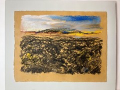 „Lavafeld 2, Iceland“, Heinrich G. Noé, 2016, Pastel, 51×39 cm