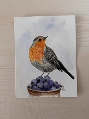 Original Watercolor Painting Birds Painting Bird Card Set of 6