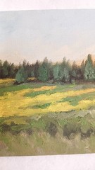 ORIGINAL Oil Painting Impressionism Oregon Landscape Green Grass Sun Field 5″x7″
