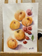 Original Watercolor Apricots & Cherries Painting Fruit Still Life Art 9×12 Inch