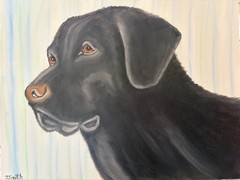 Original oil painting 11 x 14 inches handsome black Labrador retriever dog