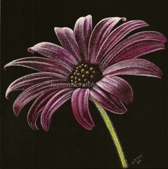 Scratch Art Ampersand Pro Board Original 8″x8″ Signed Purple Daisy