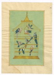 Miniature Painting Of Birds In The Cage Gouache Pigment Art 8×11.5 Inches Art