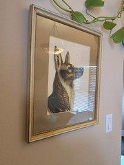 VTG Hand Painted German Shepherd Dog Portrait on Gold Silk Matted~Framed~Signed