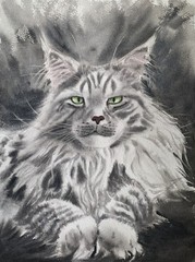 Gray Maine Coon Cat Large Scale painting 69 x 51 in gigantic Original watercolor
