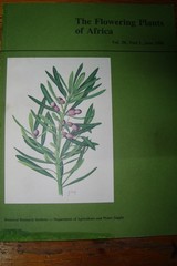 G Gillian Condy Botanical Water color painting Art work Yellow wood tree + Book