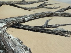 Original Real Tree Roots Canvas Painting Gnarled Branch Textured Oil Paint Decor