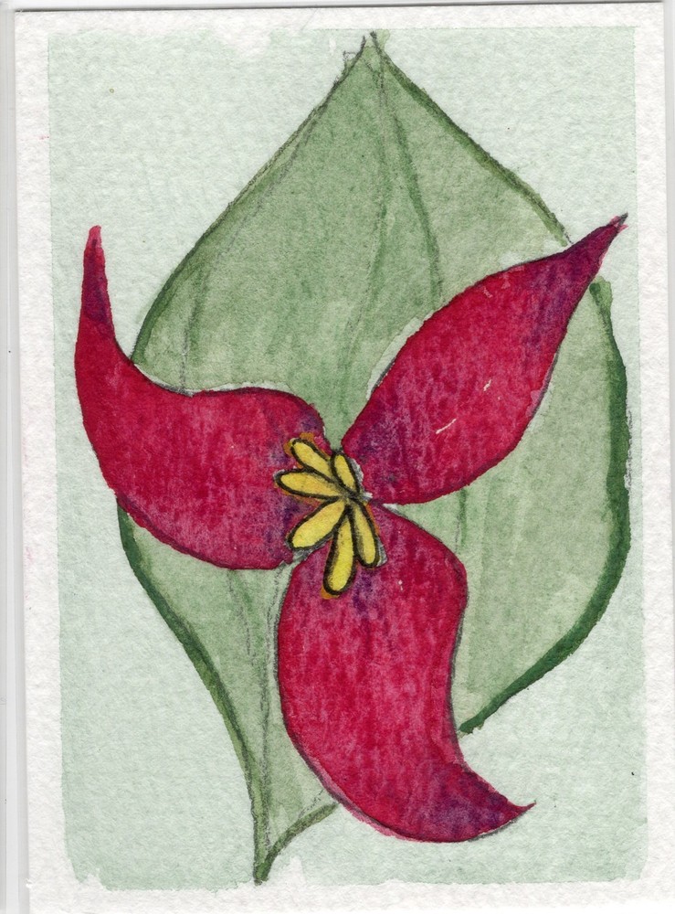 Original ACEO Watercolor Painting – Wild Flower art Nature mini art flower card