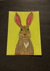 ACEO Original Acrylic Painting 2.5 X 3.5”. ~ Bunny Love 2