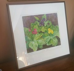 ORIG American School M. Hostetler Flower Botanical Watercolor „Primrose Trio“