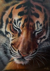 Original oil painting on canvas of a tiger 25 *35 cm , OOAK , Hand painting