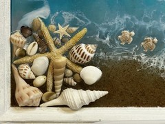 Beach Sea Shell Resin Wall Art (Home Decor)