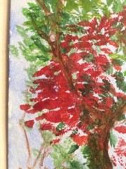 Original Painting Tree Red Green Brown Fence Blue Sky Strathmore Watercolor