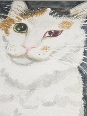 Original Watercolor Cat Painting Portrait Professionally Framed Signed by Artist