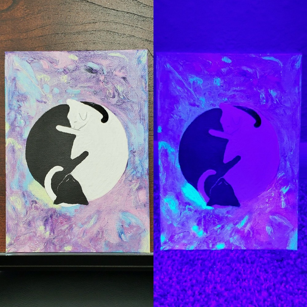 Pastel Rainbow Yin-Yang Cat Painting UV Blacklight Reactive Paint Art
