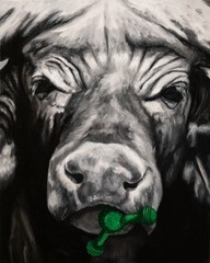 „Want to Play?“ Water Buffalo Oil Painting Original Artwork 16″ by 20″ on canvas