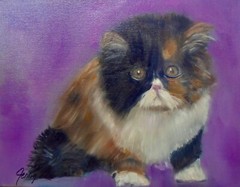 HAWAII ARTIST „Cute Kitten 11“ COLOR, COLOR Original Painting