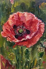 Original Oil Painting 4″by 6″ Handmade Abstract Floral poppies On Canvas Panel