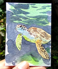 ACEO OOAK Original Watercolor Painting Sea Turtle Ocean Marine Life Underwater