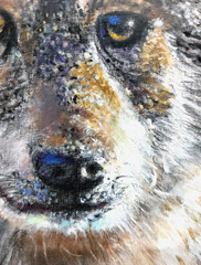 LOVELESS – „IN HIS EYES“ oil on board 12 X 9 Art Impressionism