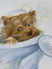 Yorkshire Terrier Framed Painting on Canvas Spring Time Hide & Seek 15″ x 12″ 2