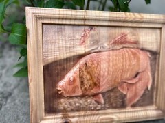 Carpfishing Fisherman Catches Carp Large Wood Carving Multicolor Picture Woodwor