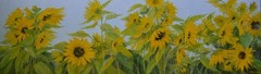 Sunflowers by Danutė Virbickienė Original Oil Painting 140×43 cm